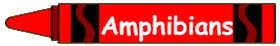 Amphibians