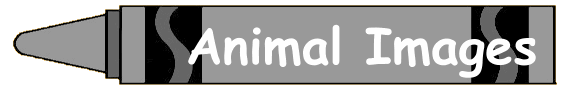 Animal Images