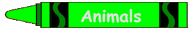 animals crayon