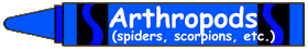 Arthropods