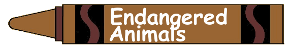 Endangered Animals
