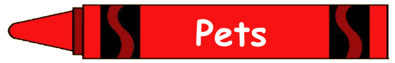 Pets