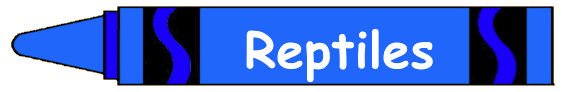 Reptiles