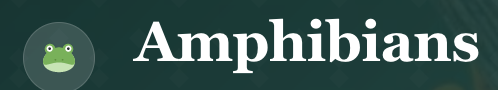 Amphibians
