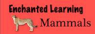 Try out the mammal links on Enchanted Learning.  Be sure to click on Groups of Mammals as well