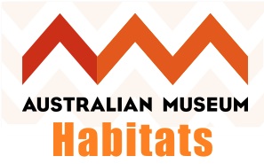 Australia,animals,animal habitats