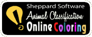 online coloring, animal classes